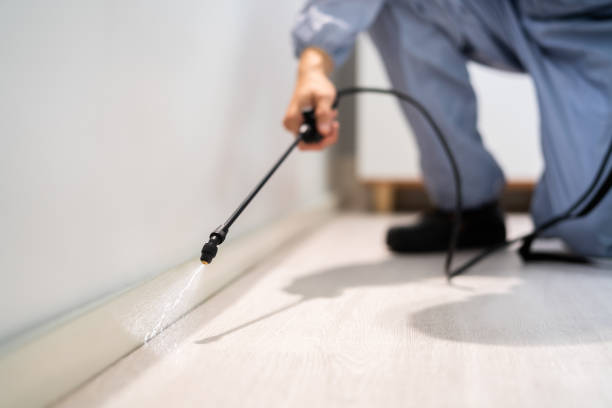Licensed Pest Control service in Choctaw Lake, OH - Show Me Pest Control