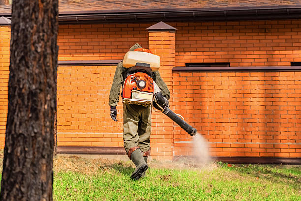 Top rated local Mosquito Control specialists in Choctaw Lake, OH